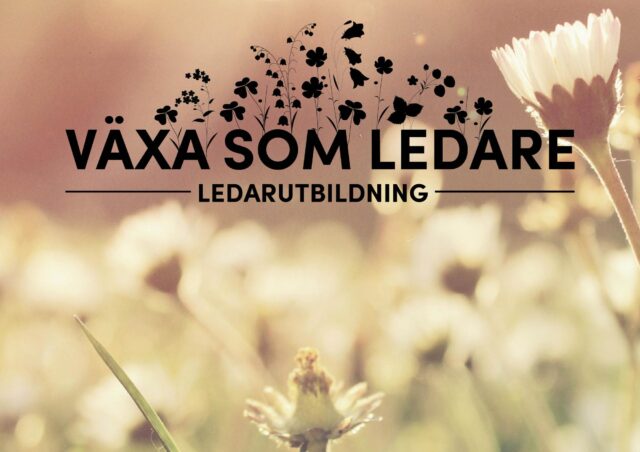 Växa som ledare – subventionering
