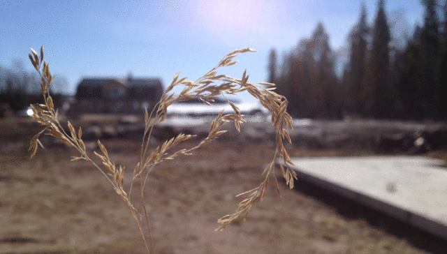 Ungdomsledartjänst i Umeå