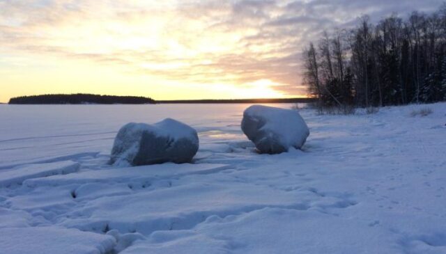 Julhälsning från regionpersonalen