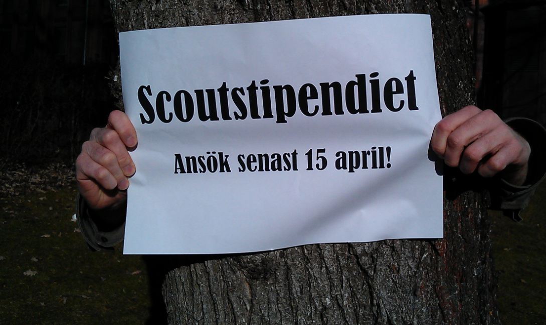 Internationella scoutstipendiet