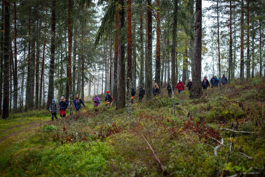 Scouter på rad i skog. Värmlandstramp 2019