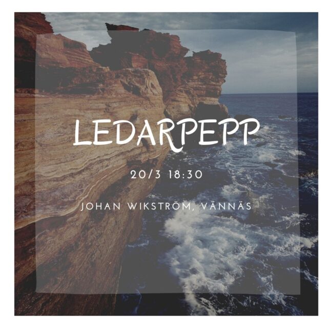 Ledarpepp