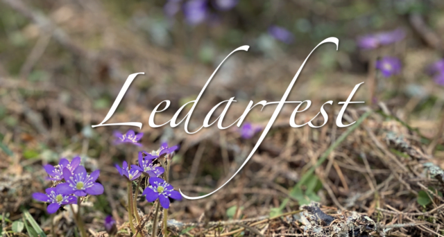 Ledarfest Equmenia Nord