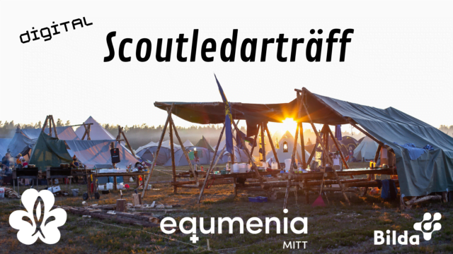 Scoutledarträff