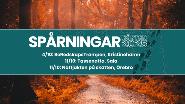 Tre scoutspårningar i Svealand
