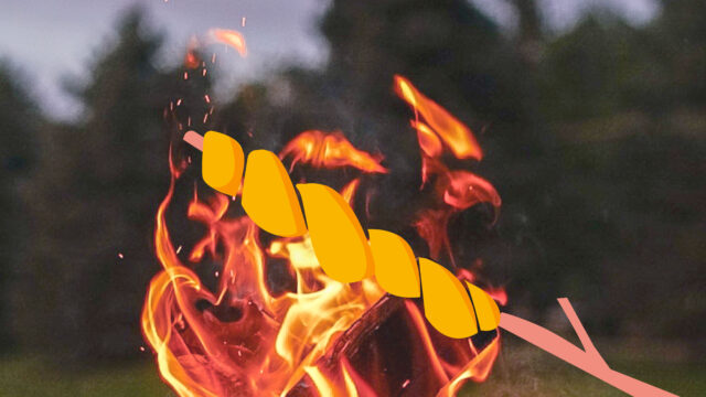Familjescout: Elda och laga mat