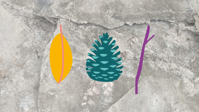 Familjescout: Upptäck naturen